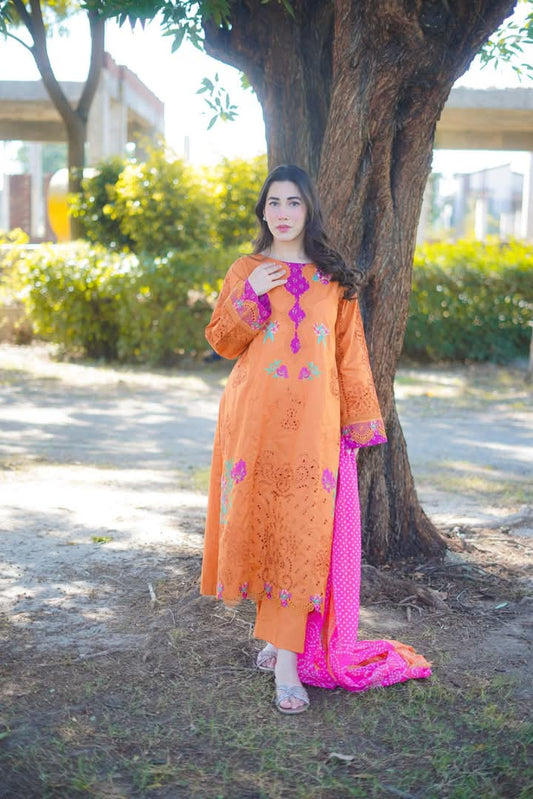 Aneela's original 3-Piece Lawn chikenkari with silk dupatta