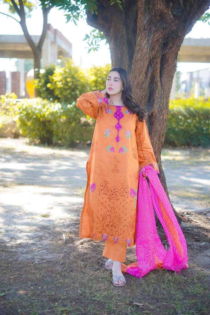 Aneela's original 3-Piece Lawn chikenkari with silk dupatta